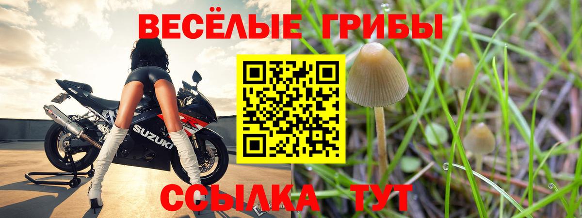 Муравленко  Псилоцибиновые грибы мицелий  Вход с VPN 